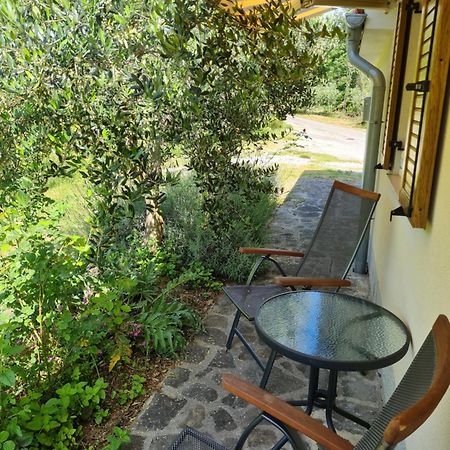 Apartma Istra Zora Secovlje Ngoại thất bức ảnh
