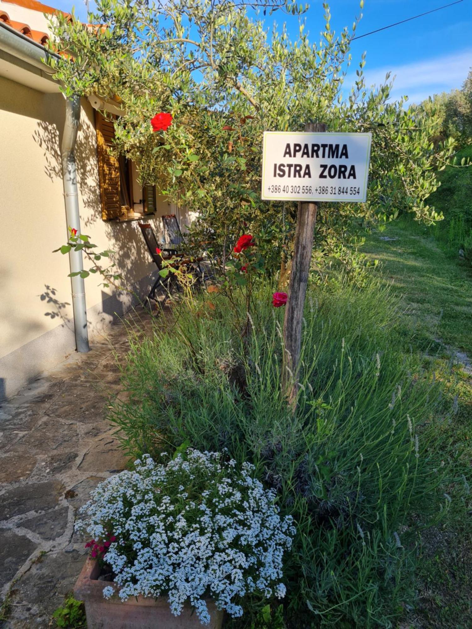Apartma Istra Zora Secovlje Ngoại thất bức ảnh